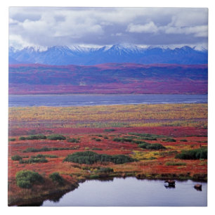 Azulejo De Cerámica La tundra del Parque Nacional Denali a finales