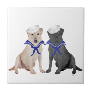 Azulejo De Cerámica Labradores Retriever amarillos y negros