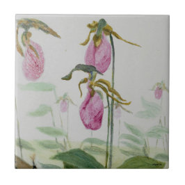 Azulejo De Cerámica Lady Slippers