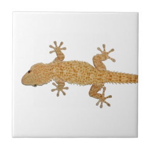 Azulejo De Cerámica lagarto del gecko