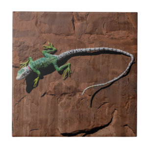 Azulejo De Cerámica Lagarto en una pared