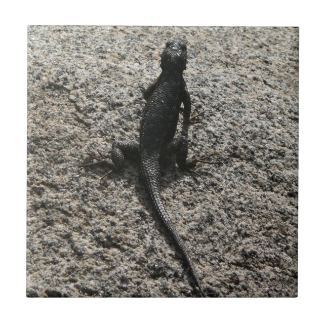 Azulejo De Cerámica Lagarto Negro (Frente)