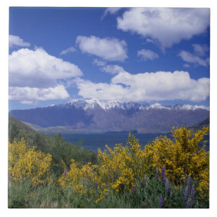 Azulejo De Cerámica Lago Wakatipu y los Remarkables, Queenstown,