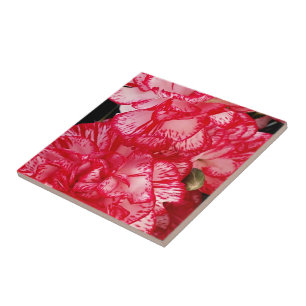 Azulejo De Cerámica LÁGRIMAS DE CARNE-CERAMIC rojo y blanco