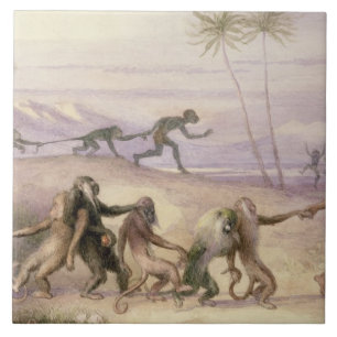 Azulejo De Cerámica Las maneras y las aduanas de monos