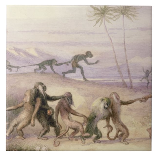 Azulejo De Cerámica Las maneras y las aduanas de monos (Frente)