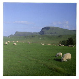 Azulejo De Cerámica Las Montañas Quiraing, Isla de Skye, Tierras Altas