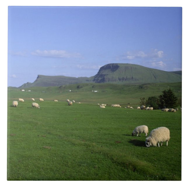 Azulejo De Cerámica Las Montañas Quiraing, Isla de Skye, Tierras Altas (Frente)