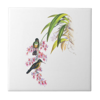 Azulejo De Cerámica Las orquídeas rosas y los colibríes de John Gould