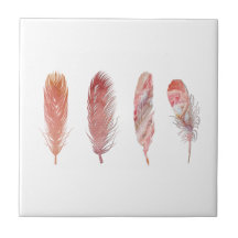 Las plumas en rosa y coral sobre un fondo blanco