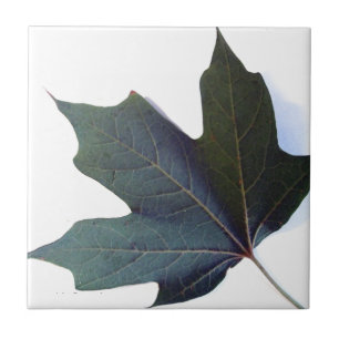 Azulejo De Cerámica Leaf verde