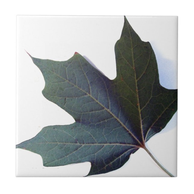 Azulejo De Cerámica Leaf verde (Frente)