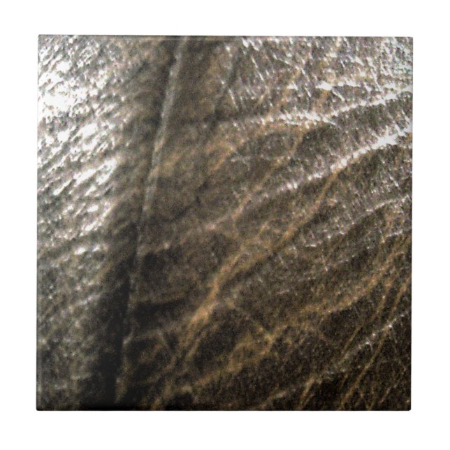 Azulejo De Cerámica LeatherFaced 4 (Frente)