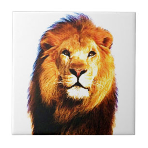 Azulejo De Cerámica León