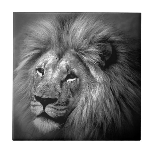 Azulejo De Cerámica León blanco y negro (Frente)