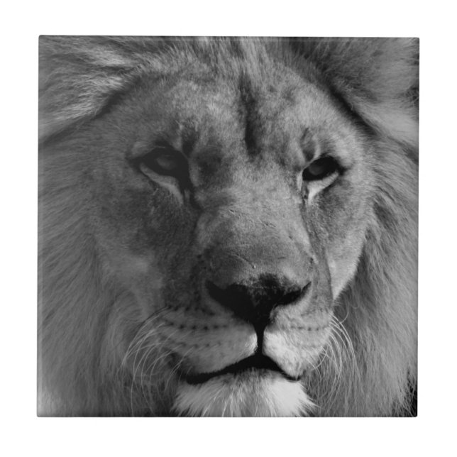 Azulejo De Cerámica León blanco y negro (Frente)