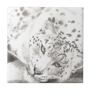 Azulejo De Cerámica Leopardo de la nieve