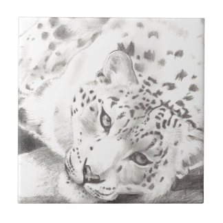 Azulejo De Cerámica Leopardo de la nieve