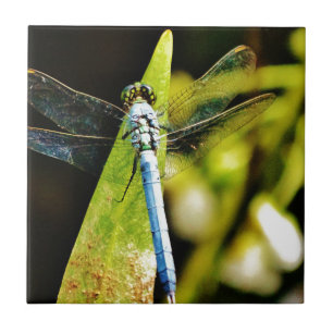 Azulejo De Cerámica Libélula azul clara