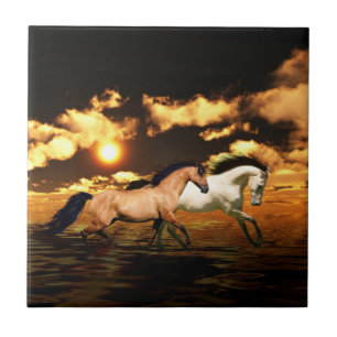 Azulejo De Cerámica Libre corriente