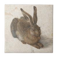 Liebres de Albrecht Durer