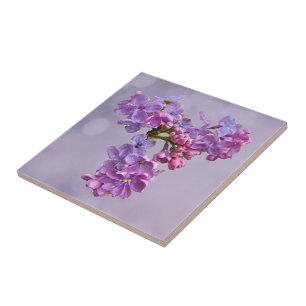 Azulejo De Cerámica Lilacs en primavera