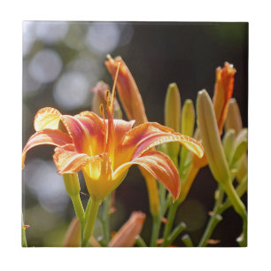 Azulejo De Cerámica Lilies al sol