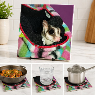Azulejo De Cerámica Lindo Sugar Glider con Sombrero Amante de Mascotas
