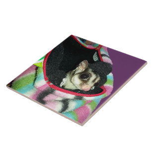 Azulejo De Cerámica Lindo Sugar Glider con Sombrero Amante de Mascotas