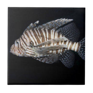 Azulejo De Cerámica Lionfish