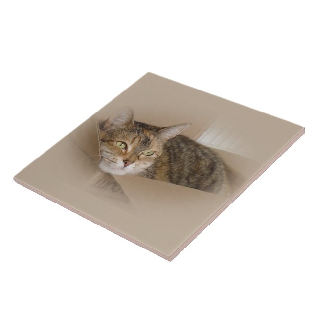 Azulejo De Cerámica Lirio #1 (Lado)