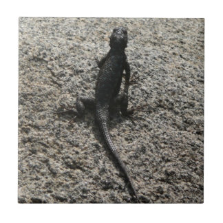 Azulejo De Cerámica Lizard negro