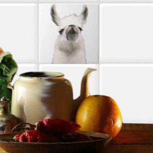 Azulejo De Cerámica Llama a Snobby de Snooty Personalizada