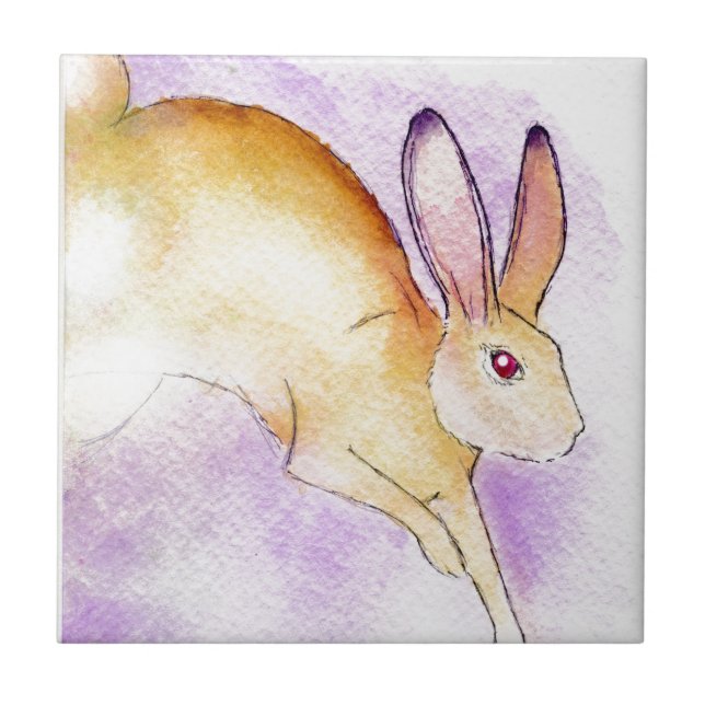 AZULEJO DE CERÁMICA LLAMADA DEL SALVAJE (Frente)