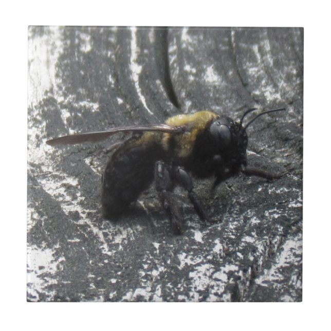 Azulejo De Cerámica Lluvias (Frente)