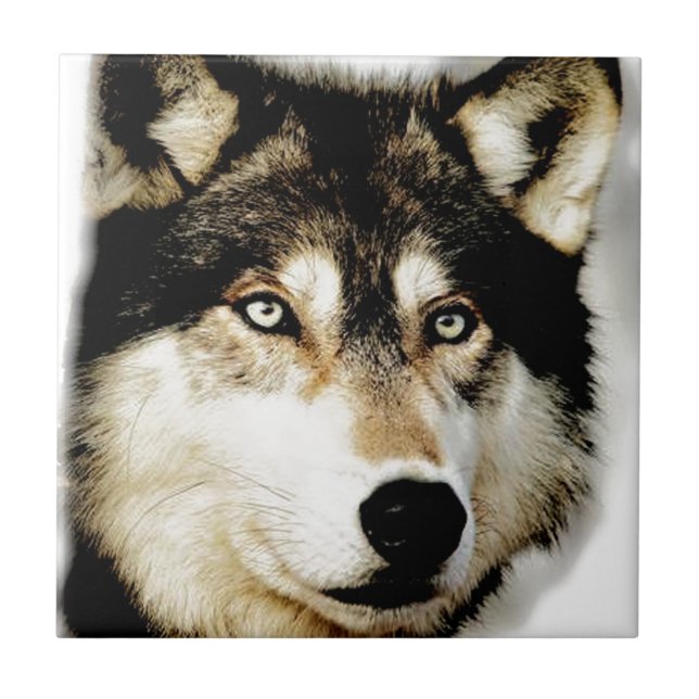 Azulejo De Cerámica Lobo Motivador Único (Frente)