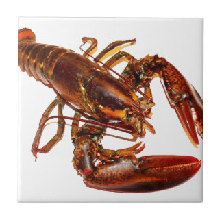 Azulejo De Cerámica Lobster