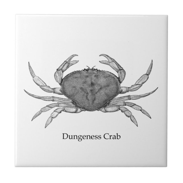 Azulejo De Cerámica Logo de Dungeness Crab (arte de la línea) (Frente)