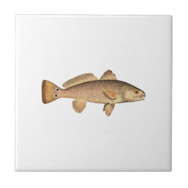 Azulejo De Cerámica Logotipo de los salmones