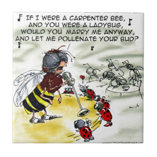 Azulejo De Cerámica Los cantantes de discotecas insectos son divertido