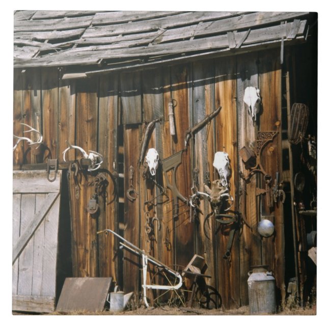 Azulejo De Cerámica Los E.E.U.U., Oregon, el condado de Harney. (Frente)