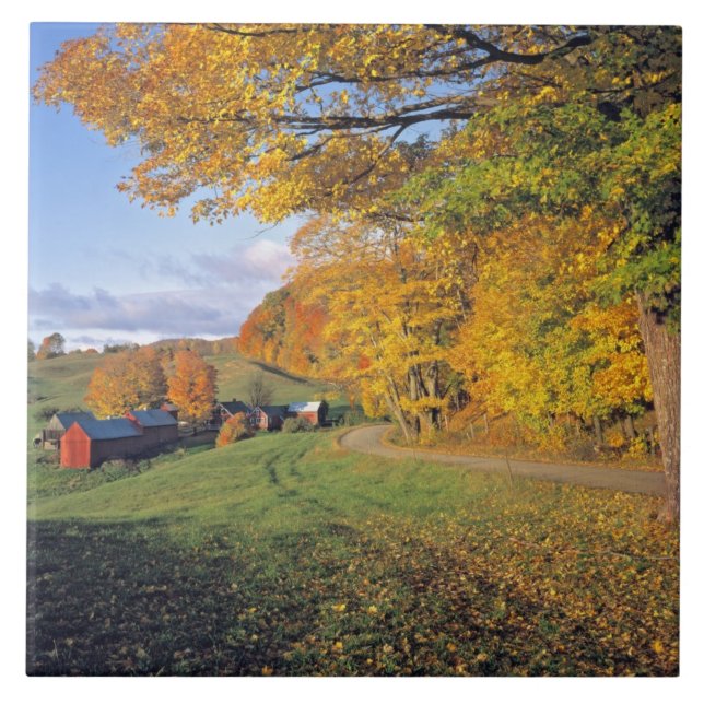 Azulejo De Cerámica Los E.E.U.U., Vermont, granja de Jenne. La caída (Frente)