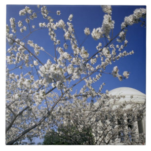 Azulejo De Cerámica Los E.E.U.U., Washington DC. Festival y 2 de la