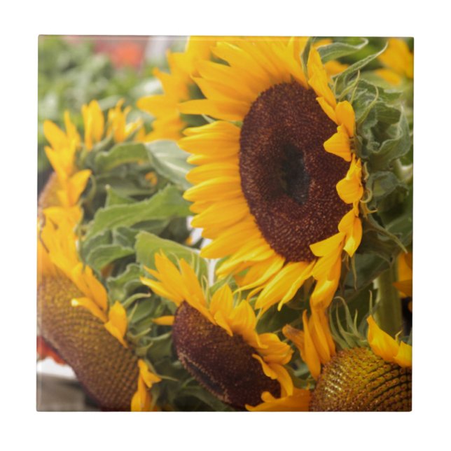 Azulejo De Cerámica ¡Los girasoles! (Frente)