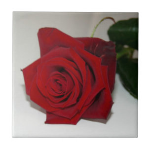 Azulejo De Cerámica Los rosas son mosaicos rojos