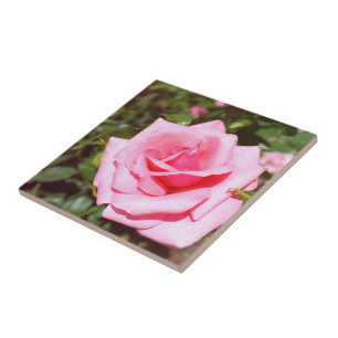 Azulejo De Cerámica lovely rosa rosa con dulces corazones