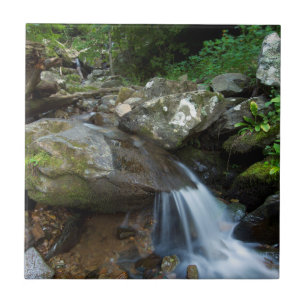 Azulejo De Cerámica Lower Dark Hollow Falls, Shenandoah