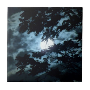Azulejo De Cerámica Luna ilumina la noche detrás de las ramas de árb