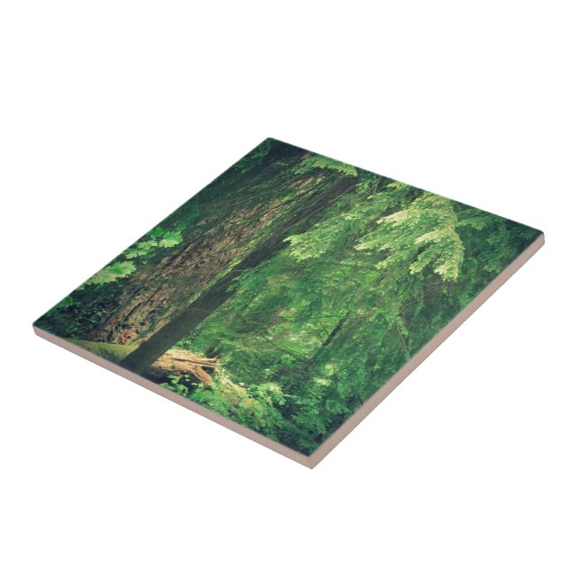 Azulejo De Cerámica Luz de bosque (Lado)