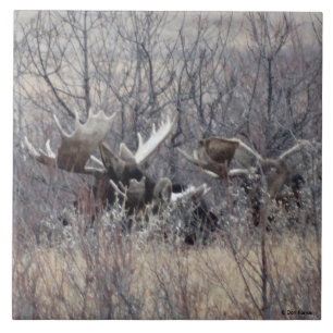 Azulejo De Cerámica M9 Perforación de aletas
